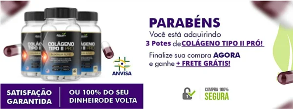 Colágeno Tipo II Pró- Kit com 3 Potes